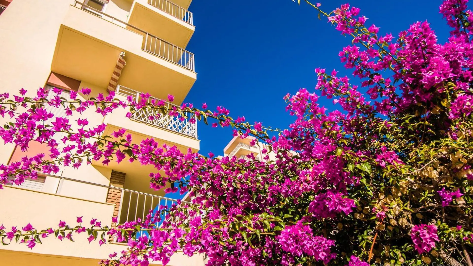 525 Minerva Apartamento Vista Al Mar Y Al Jardin Y La Montana Benalmádena