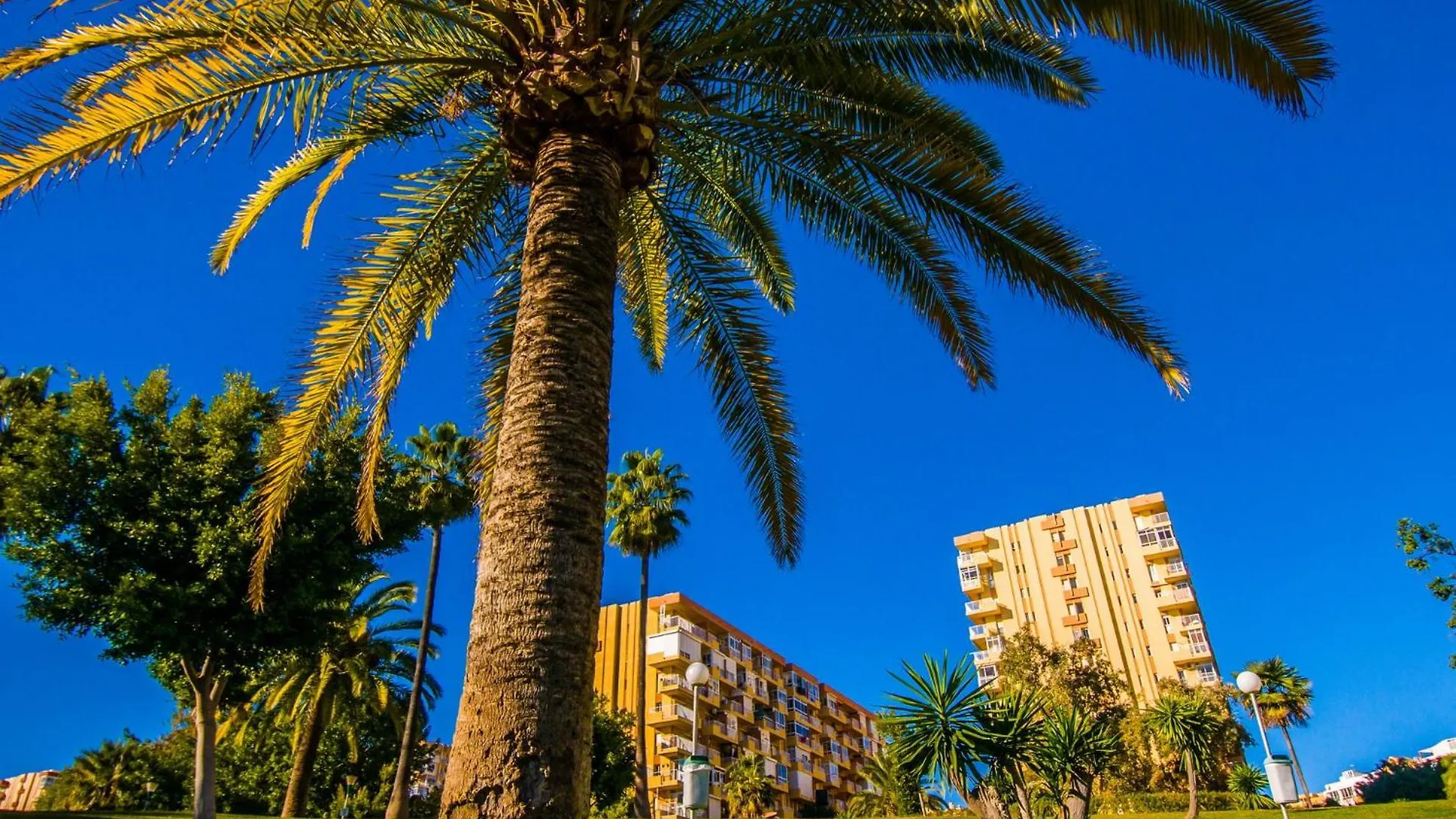 525 Minerva Apartamento Vista Al Mar Y Al Jardin Y La Montana Benalmádena