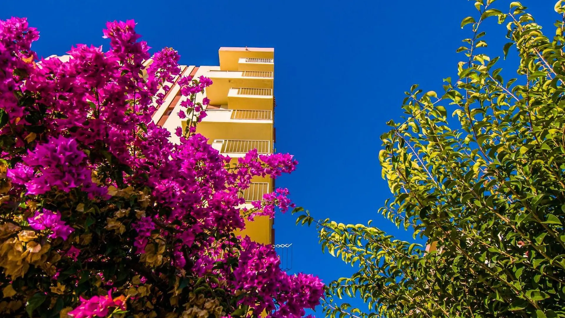 525 Minerva Apartamento Vista Al Mar Y Al Jardin Y La Montana Benalmádena